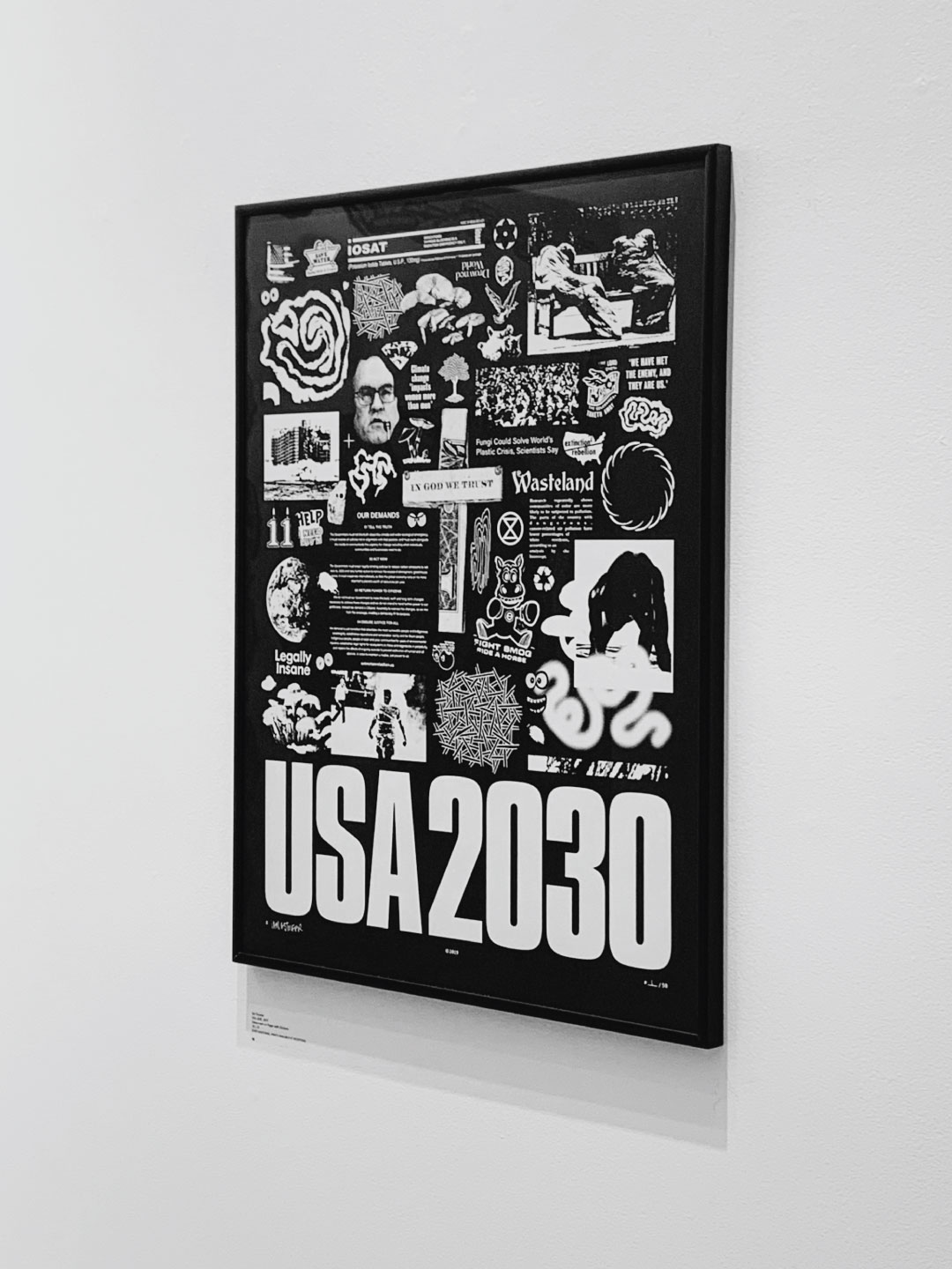 USA2030-(Framed)